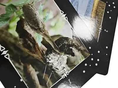 fényes laminálás fényes laminálás